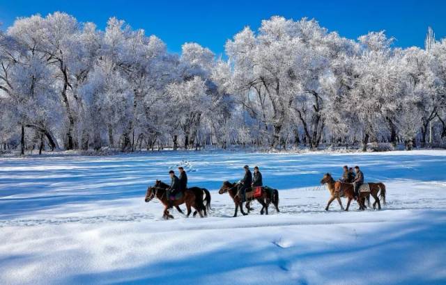 【冰雪旅游节】这个冬天,体验诗和远方——"塞外江南诗画伊犁"之"天鹅