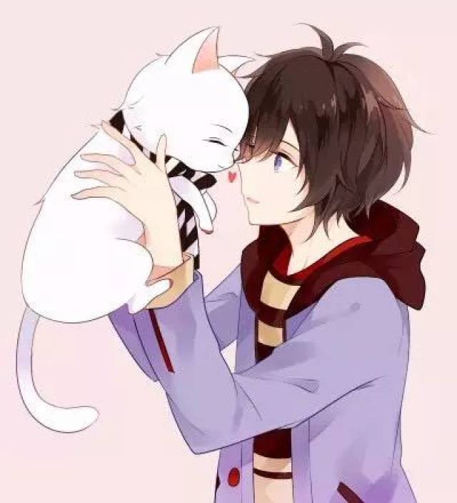 你喜欢猫吗——他和他的猫咪男生版壁纸,头像欣赏