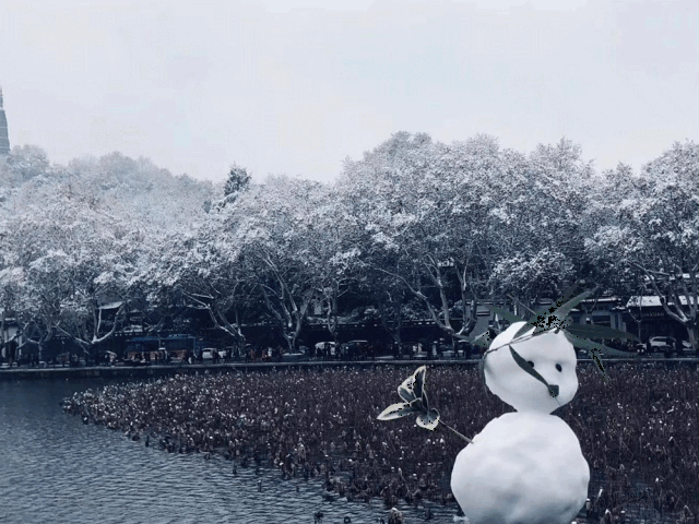 前往西湖 拍摄雪景