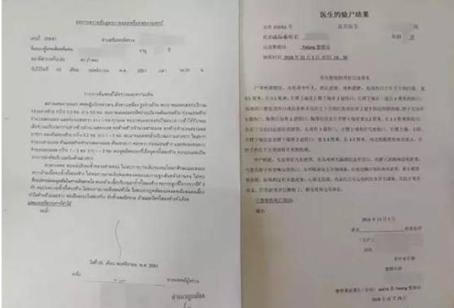 尸检报告