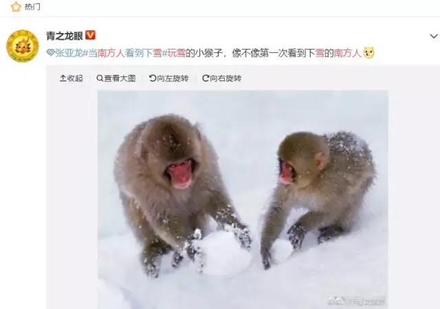 南方人看雪,北方人看南方人