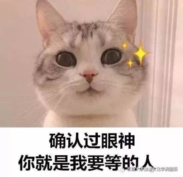 确认过眼神,