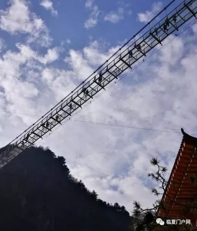 重要通知 | 门票免费!积石山县大墩峡景区"第二届迎春