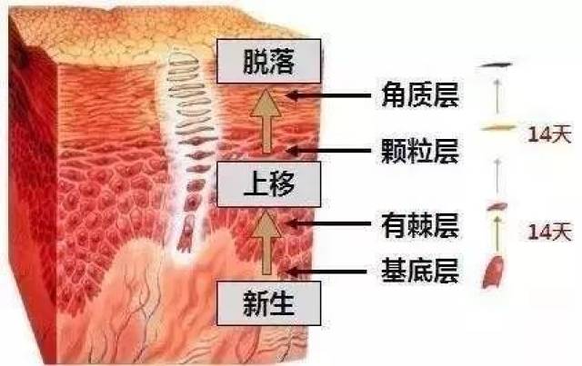 红血丝正在毁掉你的容貌,你知道吗?