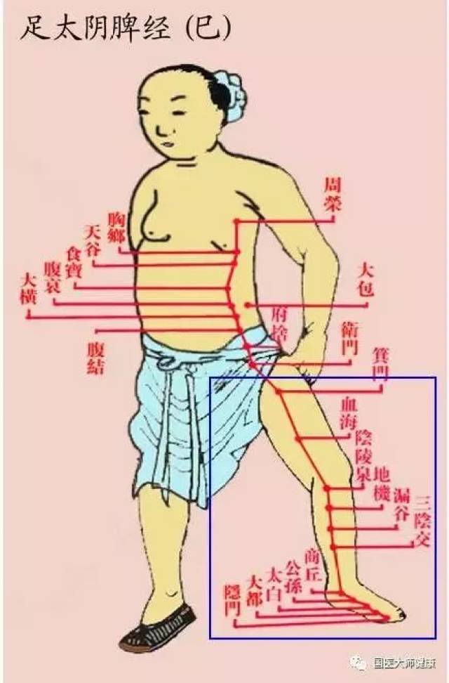 小腿内侧属阴面,阴面的代谢本来就比较慢,经常拍打它,疏通经络,有益无