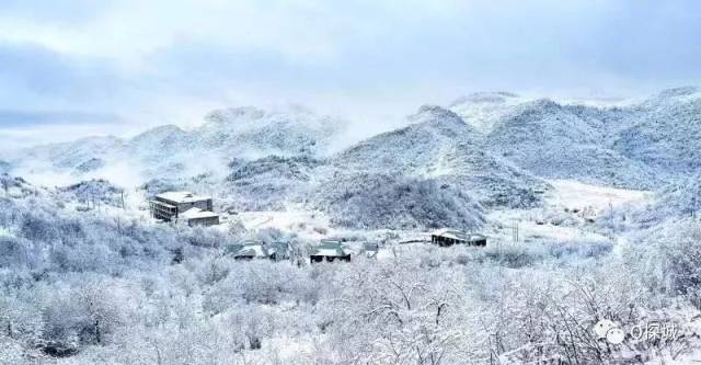 重庆这些地方下雪啦!主城周边十大耍雪地 马上就想去