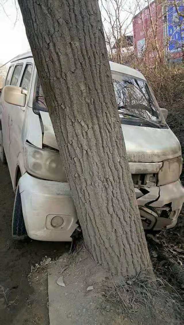 子陵南桥路段,一辆车打滑撞到树上.