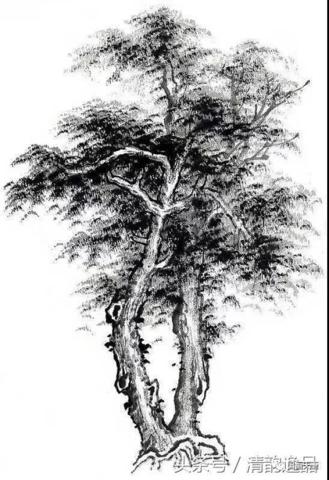 教你怎样画树--树的造型画法,收藏有用