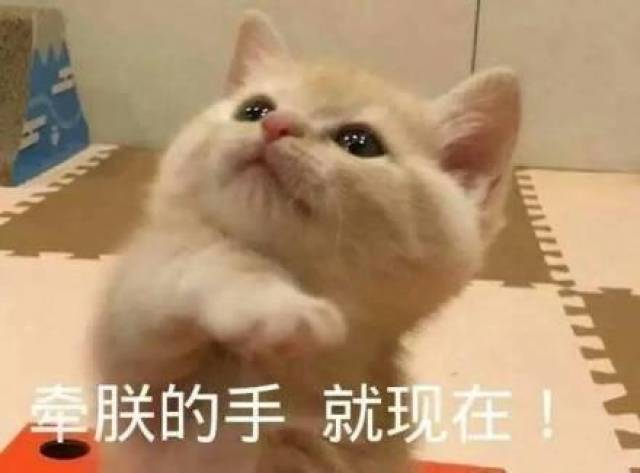 小仙女专用表情包:长得可爱就是麻烦