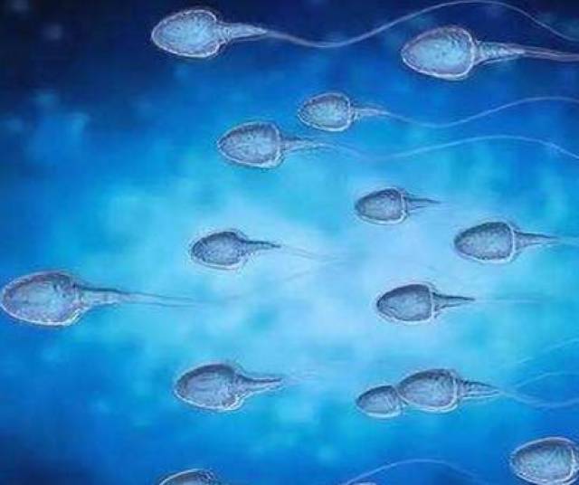 精子存活率低怎么办?遇到这些事男性少做