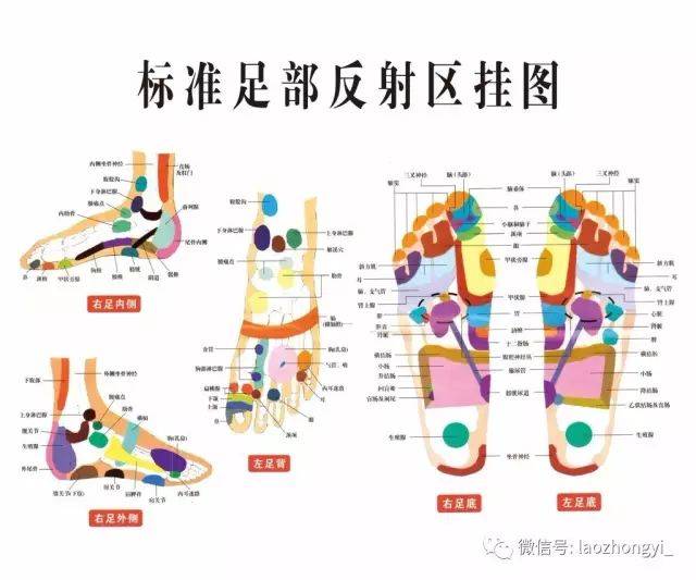 一双手一对脚揉一揉按一按止咳降压补脾强肾的实用方法