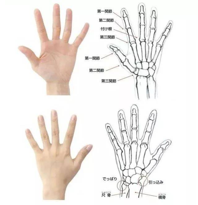 绘画教程 | 手的画法,超好用的技巧,参考练习