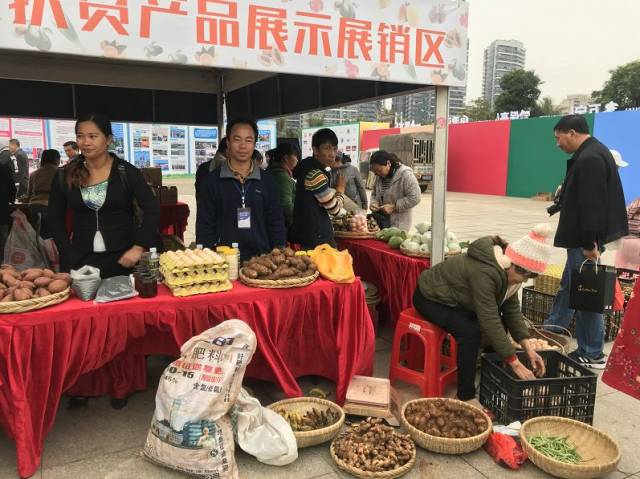 火山荔枝干、琼山“扶贫鸡”、黄金百香果...海