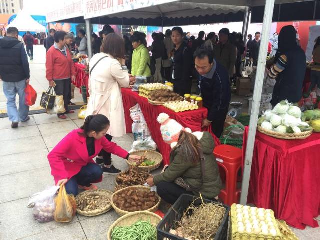 火山荔枝干、琼山“扶贫鸡”、黄金百香果...海