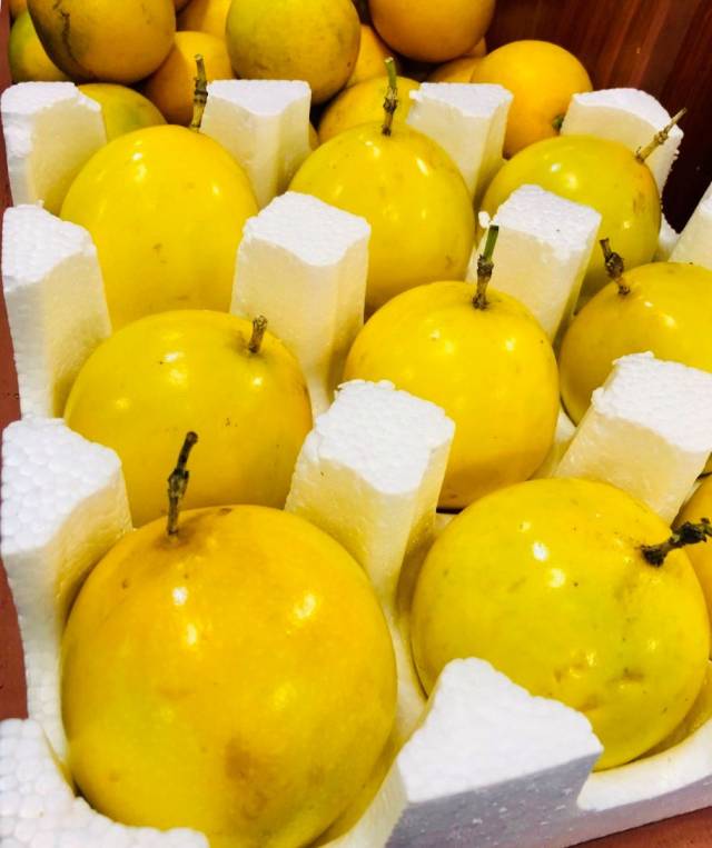 火山荔枝干、琼山“扶贫鸡”、黄金百香果...海