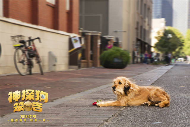 尤值一提的是,40多年来,笨吉系列电影不仅给无数家庭带去了欢乐,同时
