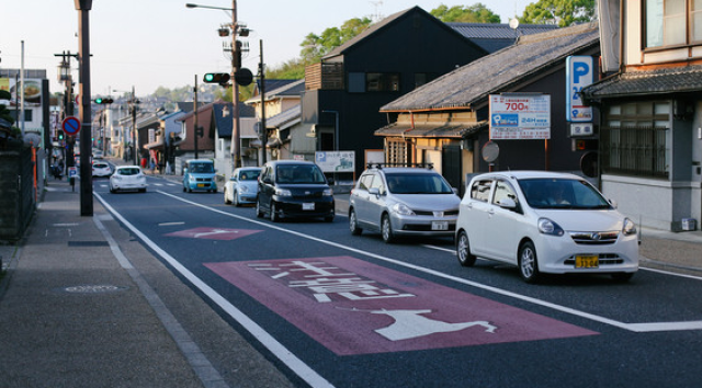 日本游客车祸