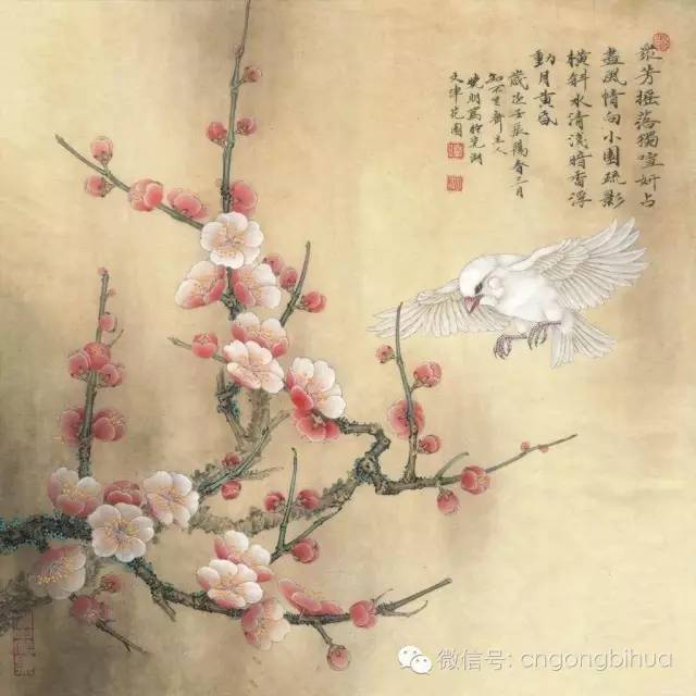 怎样画工笔 梅花