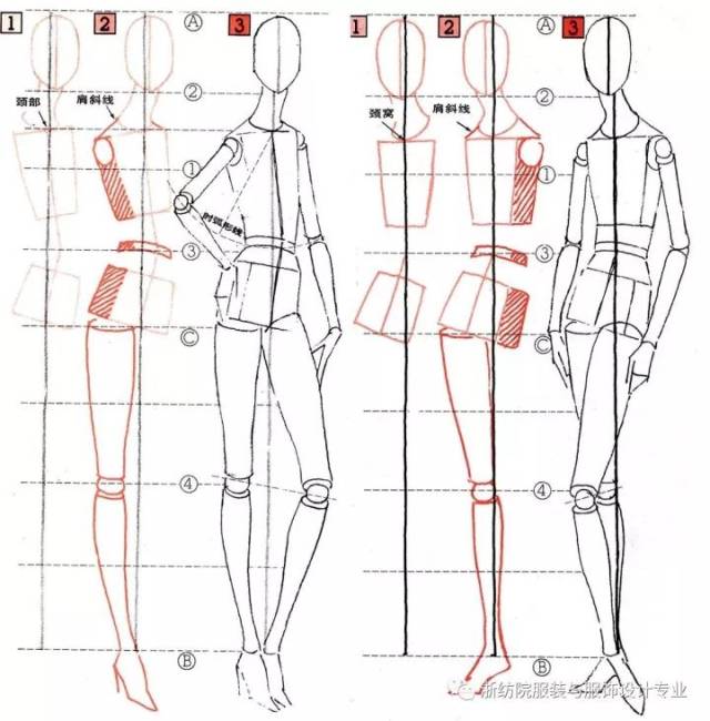 超详细!服装人体(比例与绘制步骤)