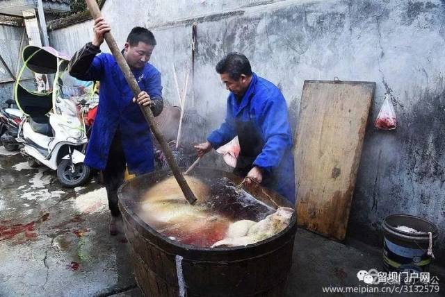 来留坝吃泡汤了
