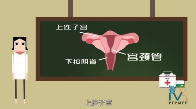 妊娠期宫颈管缩短会早产?这到底是怎么回事