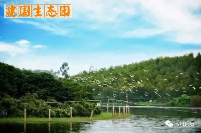 镇江,石鼓,石仔岭,经过"一江,两湖,三农场和几个新农村",其中经过高州