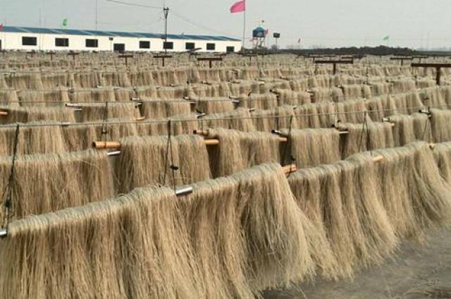 市场上"毒"红薯粉流窜?买粉条看准3点,让你一眼辨别吃