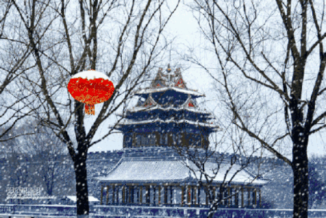 月榜图书|故宫的古物之美