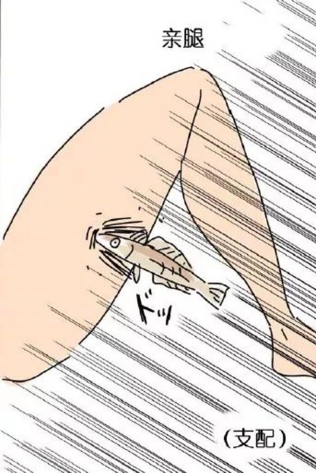 进来涨知识