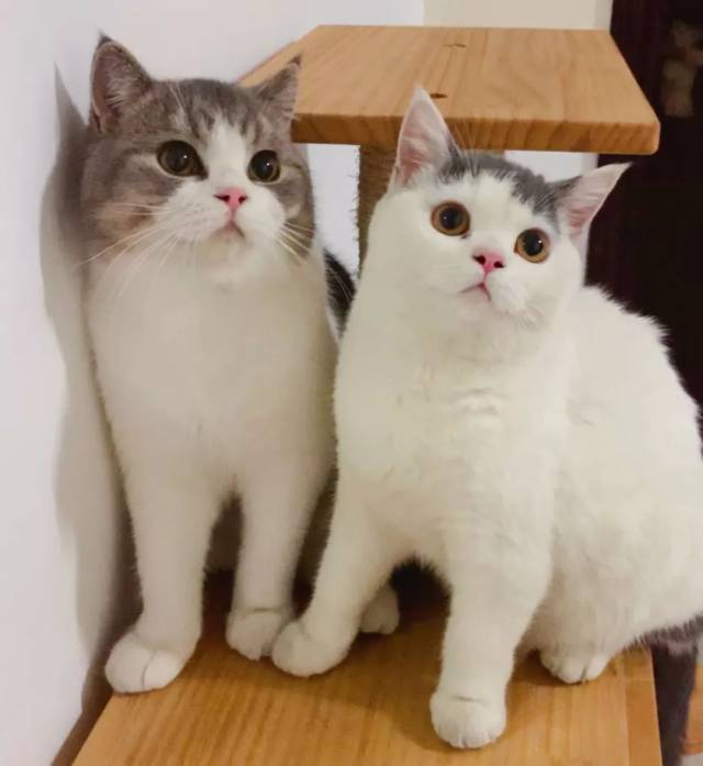 è|һ