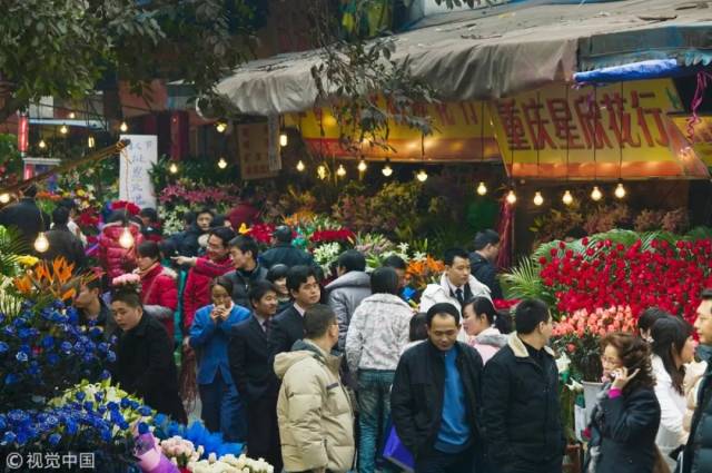 黄田坝花鸟市场