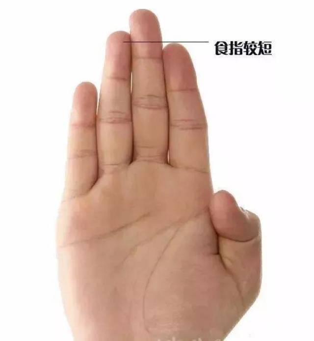 而大鱼际线性凹陷,就说明肝脏和心脏的功能减弱,尤其是心脏功能.