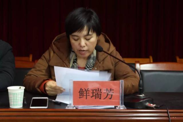 兴平乡召开2018年村党支部书记述责述廉评议会议