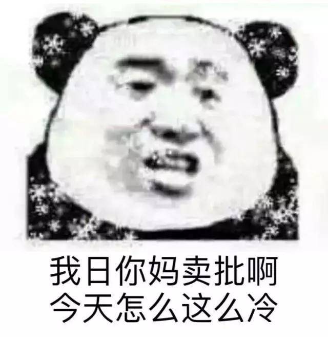 熊猫头表情包:有没有富婆的胸怀,借我取个暖