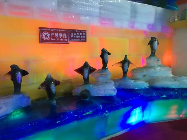 东莞也可以看雪?