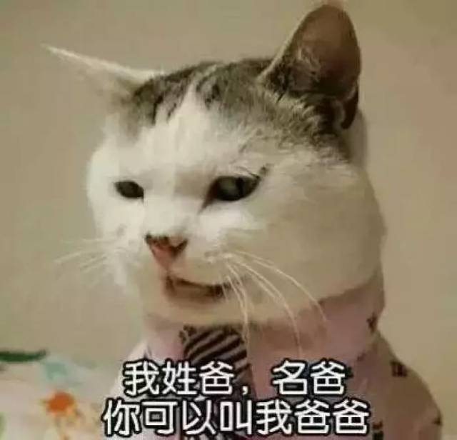 成熟的人都不把情绪表露在脸上,因为他们有表情包.