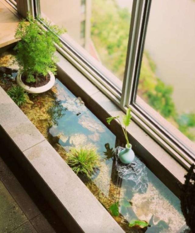 阳台上用水泥和砖自己砌一个自制鱼池,种绿植还是养鱼