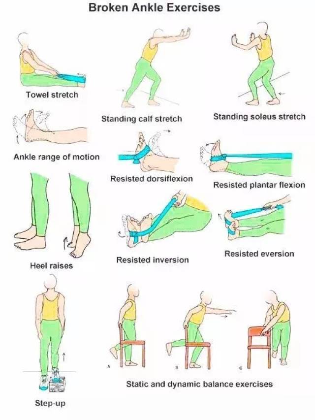 (2)功能性踝关节不稳定:治疗上以保守治疗为主,最重要的是锻炼踝关节