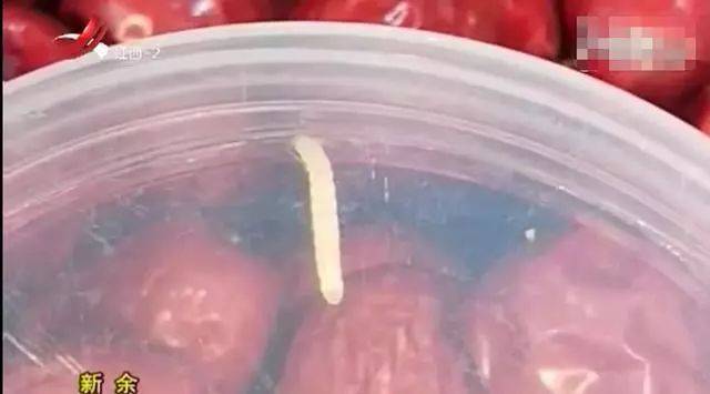 生蛆的红枣能吃吗?新余一超市罐装红枣有异物