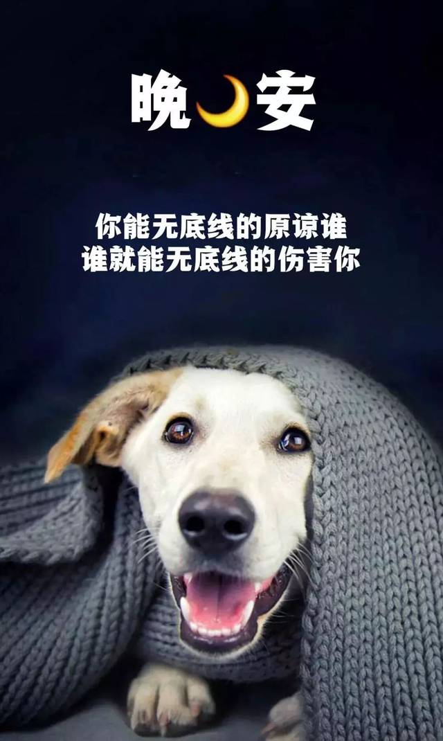 晚安的朋友圈语录 晚安的图片大全