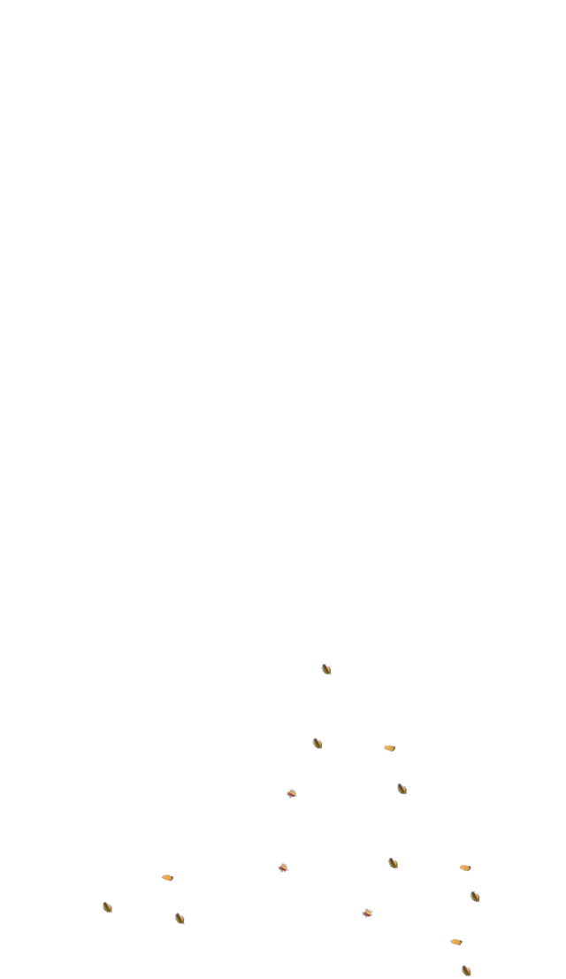 640_1106 竖版 竖屏
