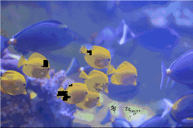 穿过总长40米的海底隧道 看珊瑚,鱼群 真正体验置身海底的震撼感受