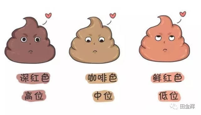 史上最萌最可爱最全的宝宝便便集(卡通图解)