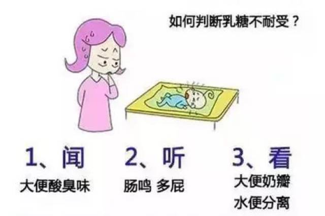 母乳喂养的宝宝也会乳糖不耐受?此症影响宝宝大脑发育