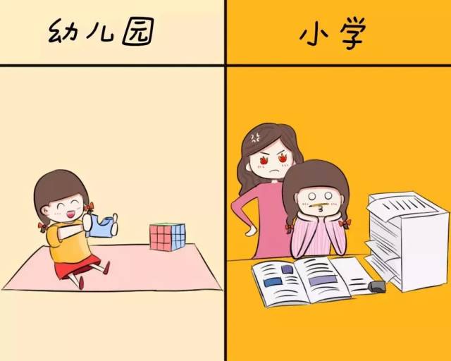 幼儿园和小学有哪些差别?心简直不要太累.