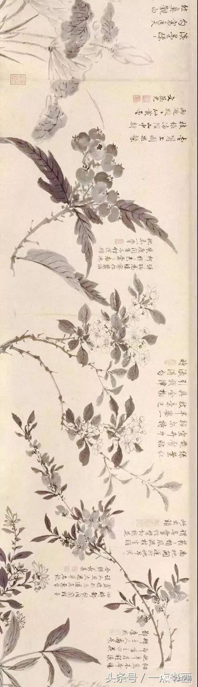 周之冕花卉图卷欣赏