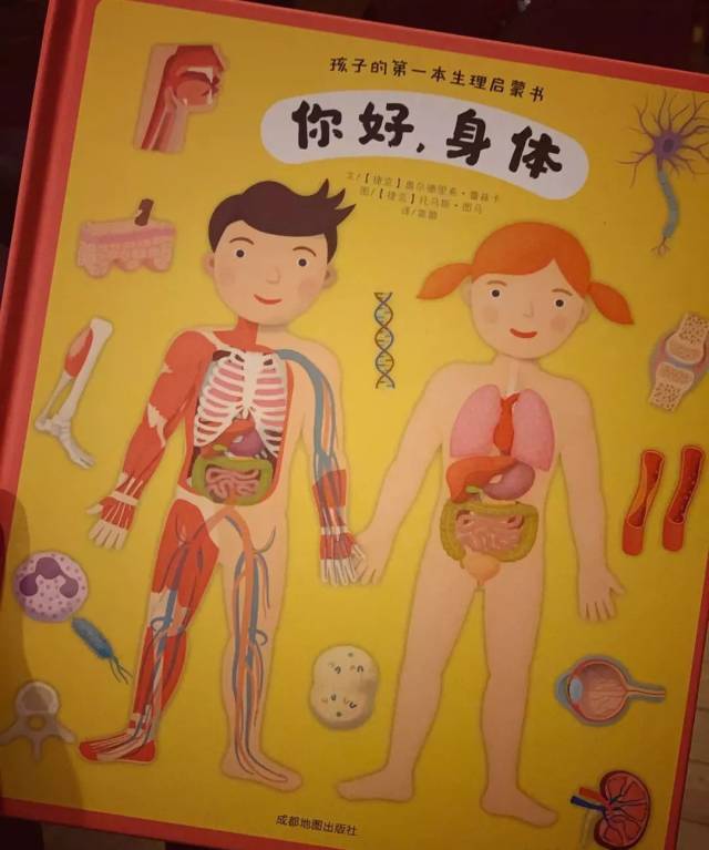 在给孩子以超大视觉体验的同时,向他们全面地介绍了我们的身体