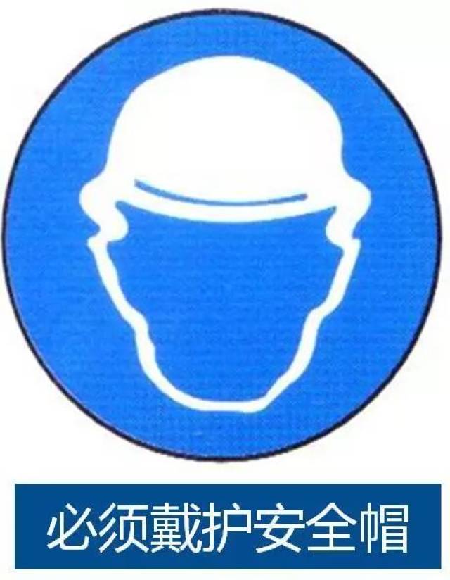 别看我小,但我的抗砸力很强大,既可以抵抗高空掉下来的物体打击,也