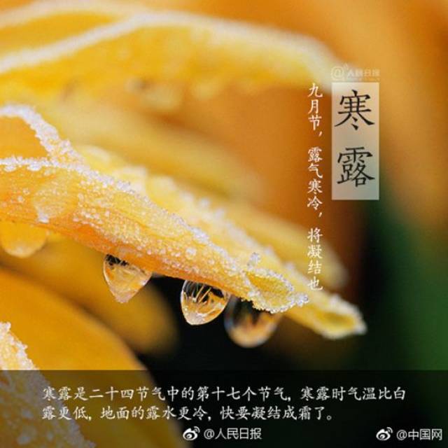 杏林传统文化系列课程之二十四节气—寒露