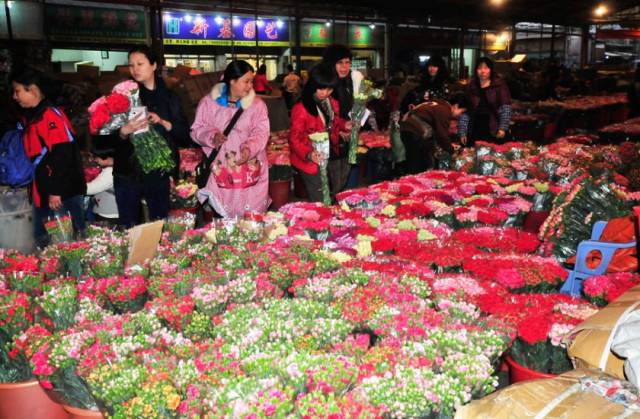 岭南花卉市场买卖热火朝天